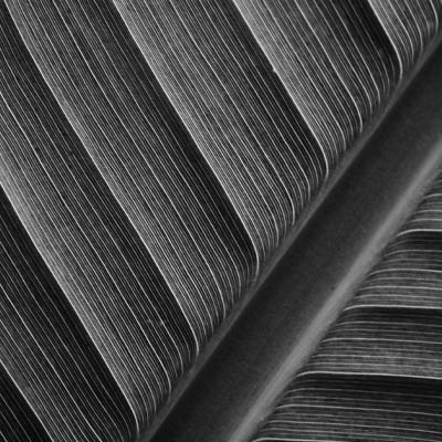 スタジオ アステリスク