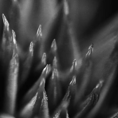 スタジオ アステリスク