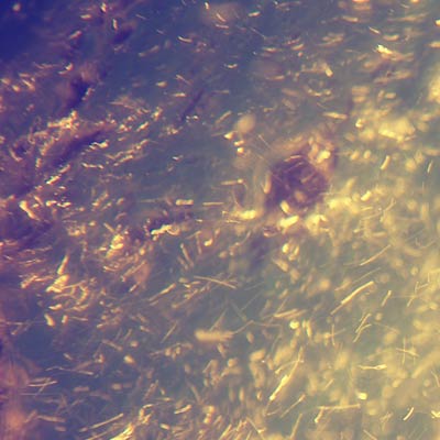 スタジオ アステリスク